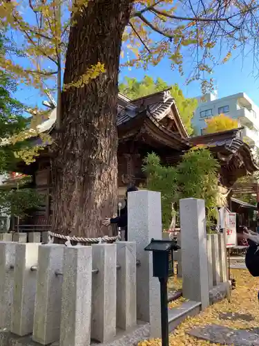 田無神社の自然