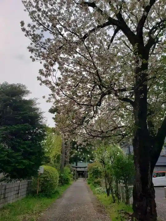 田端神社(東京都)