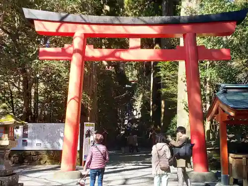 箱根神社の鳥居