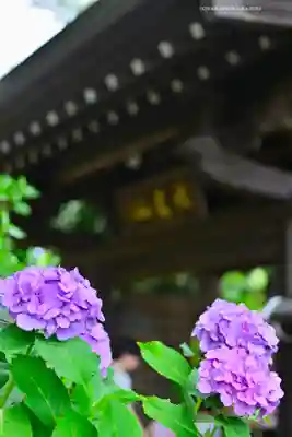 妙楽寺(神奈川県)