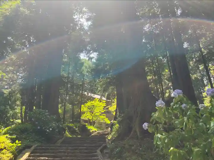 最乗寺(道了尊)(神奈川県)