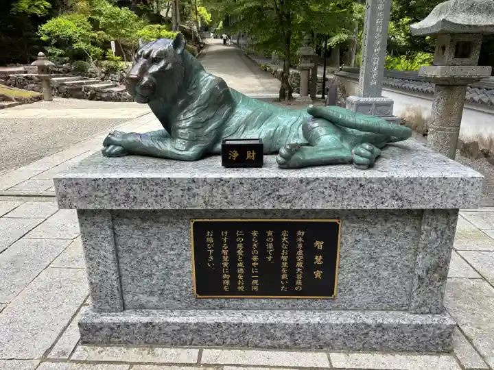 金剛證寺の{uncategorized: "未分類", other: "その他", undefined: "問題あり", building: "その他建物", grave: "お墓", sacred_gate: "鳥居", guardian: "狛犬", statue: "像", buddha: "仏像", history: "歴史", nature: "自然", garden: "庭園", animal: "動物", pagoda: "塔", temizu: "手水舎", mountain_gate: "山門・神門", sanctuary: "本殿・本堂", subordinate: "末社・摂社", art: "芸術", scenery: "景色", jizo: "地蔵", ema: "絵馬", goshuin: "御朱印", omikuji: "おみくじ", items: "授与品その他", amulet: "お守り", goshuincho: "御朱印帳", eats: "食事", festival: "お祭り", votive_dance: "神楽", shichigosan: "七五三参", wedding: "結婚式", experience: "体験その他", initially: "初詣", around: "周辺", anti_infection: "感染症対策"}