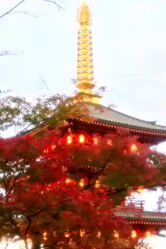 高幡不動尊　金剛寺(東京都)