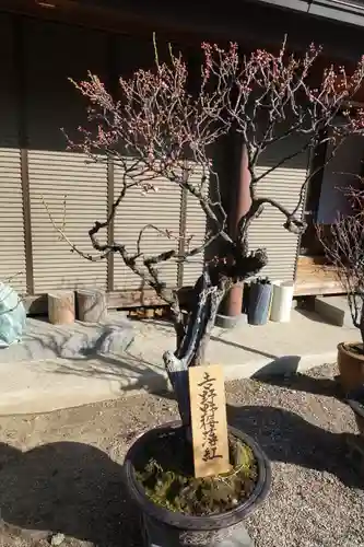 菅原天満宮（菅原神社）のその他建物