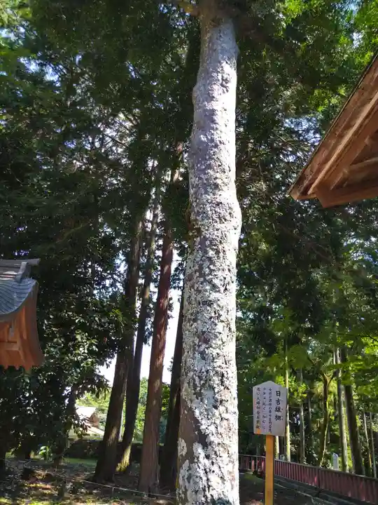 日吉大社(滋賀県)