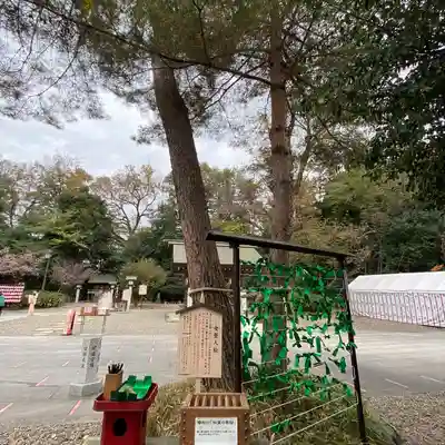 櫻木神社(千葉県)