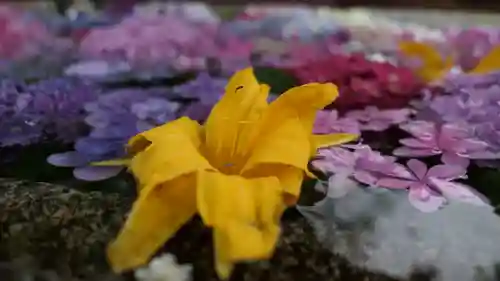 春日神社の手水舎