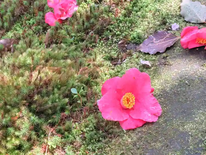 霊鑑寺門跡(京都府)