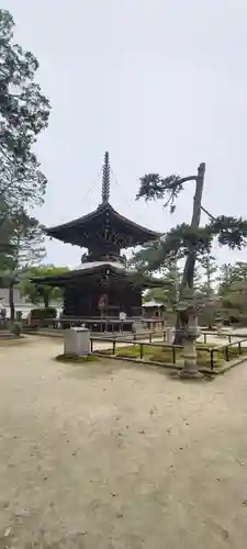 智恩寺(京都府)