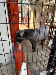 神田神社（神田明神）(東京都)