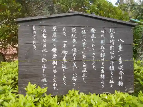 極楽寺（霊鷲山感應院極楽律寺）の歴史