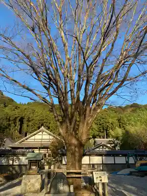 慈廣寺の本殿・本堂