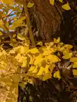 新井薬師(梅照院)(東京都)