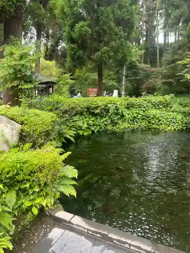 白川吉見神社の庭園