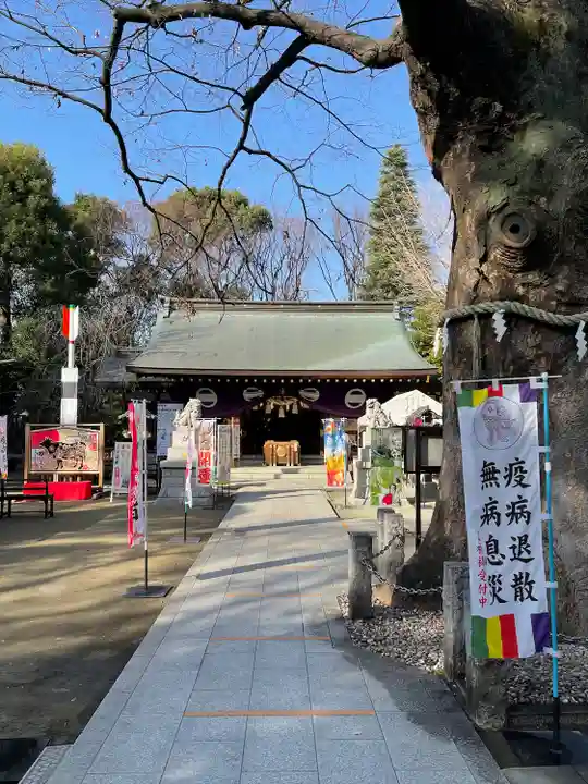 新田神社の本殿・本堂
