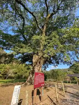 天石門別神社(岡山県)