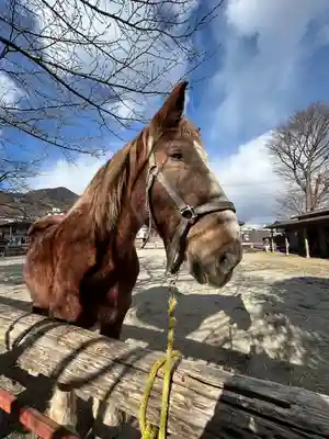 小室浅間神社(山梨県)