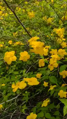 本法寺(京都府)