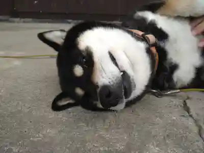 長福寺(長野県)