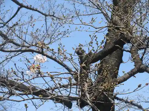 養玉院如来寺(東京都)