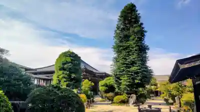 法雲寺(栃木県)