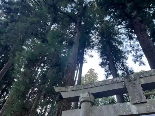 大宮温泉神社(栃木県)