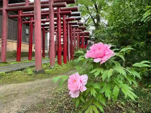 愛宕神社(福島県)