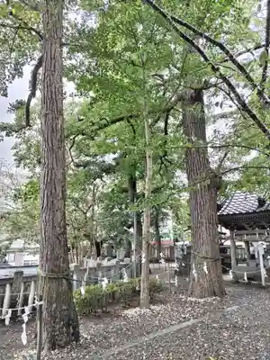 玉前神社(千葉県)