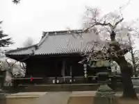 寛永寺(根本中堂)の本殿・本堂
