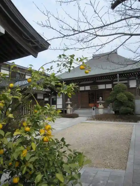妙長寺の本殿・本堂