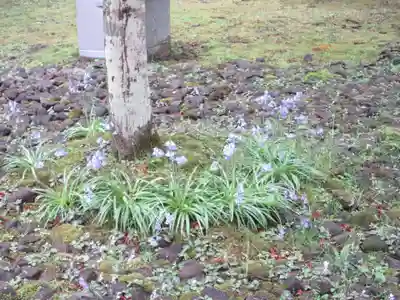輪王寺(栃木県)