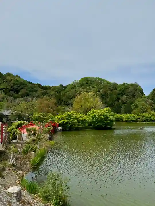 白水阿弥陀堂の{uncategorized: "未分類", other: "その他", undefined: "問題あり", building: "その他建物", grave: "お墓", sacred_gate: "鳥居", guardian: "狛犬", statue: "像", buddha: "仏像", history: "歴史", nature: "自然", garden: "庭園", animal: "動物", pagoda: "塔", temizu: "手水舎", mountain_gate: "山門・神門", sanctuary: "本殿・本堂", subordinate: "末社・摂社", art: "芸術", scenery: "景色", jizo: "地蔵", ema: "絵馬", goshuin: "御朱印", omikuji: "おみくじ", items: "授与品その他", amulet: "お守り", goshuincho: "御朱印帳", eats: "食事", festival: "お祭り", votive_dance: "神楽", shichigosan: "七五三参", wedding: "結婚式", experience: "体験その他", initially: "初詣", around: "周辺", anti_infection: "感染症対策"}