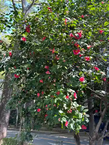 武蔵一宮氷川神社(埼玉県)