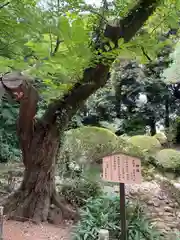 岩槻久伊豆神社(埼玉県)