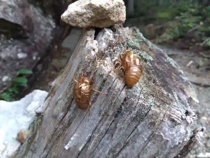 岩屋神社(妙見神社 祖師野八幡宮摂社)(岐阜県)