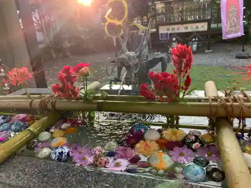 今市報徳二宮神社(栃木県)