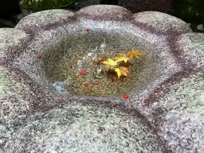 法然院(京都府)