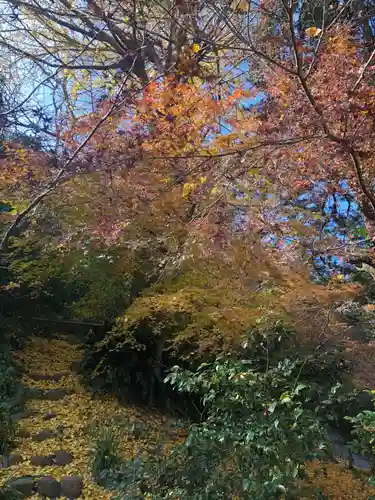 浄智寺の景色