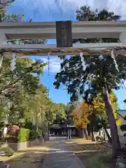 日枝神社(神奈川県)