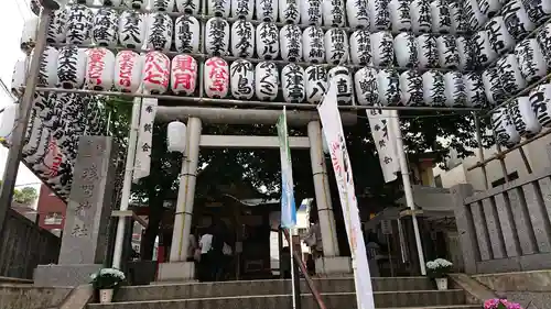 浅草富士浅間神社のお祭り
