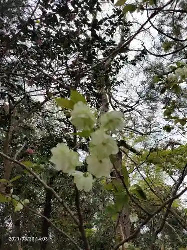 息栖神社の自然