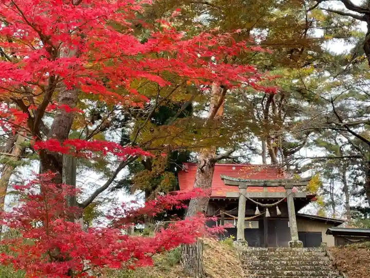 須賀神社(須賀川妙見宮)の自然