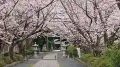 前鳥神社の自然