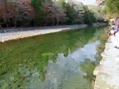 伊勢神宮内宮（皇大神宮）の自然