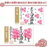 白山神社の御朱印