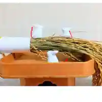 彌彦神社 (伊夜日子神社)の像