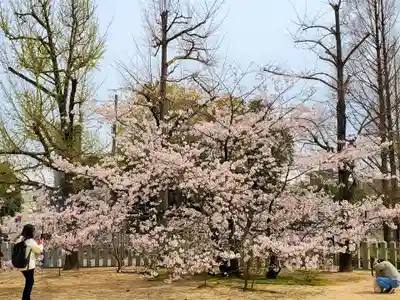 證誠神社の自然