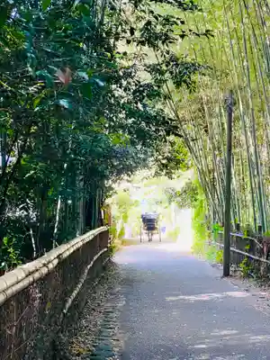 野宮神社(京都府)