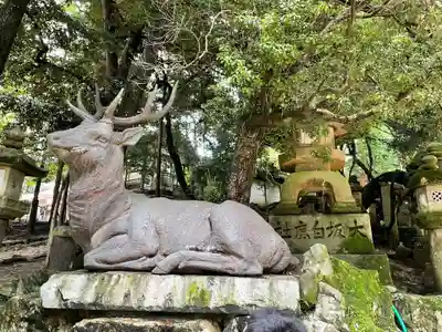 春日大社の狛犬