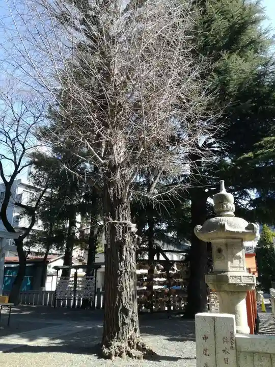 草加神社の自然
